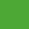 Dope LIQUID Permanent Paint 200ml - zielony